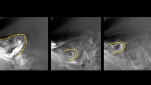 "Three frames from the Parker Solar Probe’s historic corona footage capture the birth of coronal mass ejections (highlighted in yellow)—vast eruptions of plasma hurled from the sun into the solar system." (Image credit: NASA/Johns Hopkins APL/Naval Research Lab)